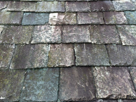 Martin Edwards architects